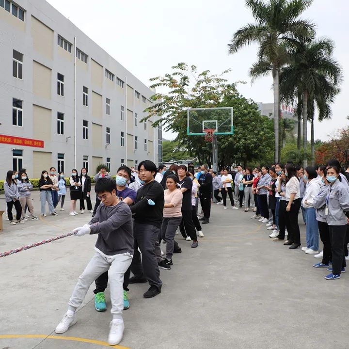 圖片 16816945455409004.jpg