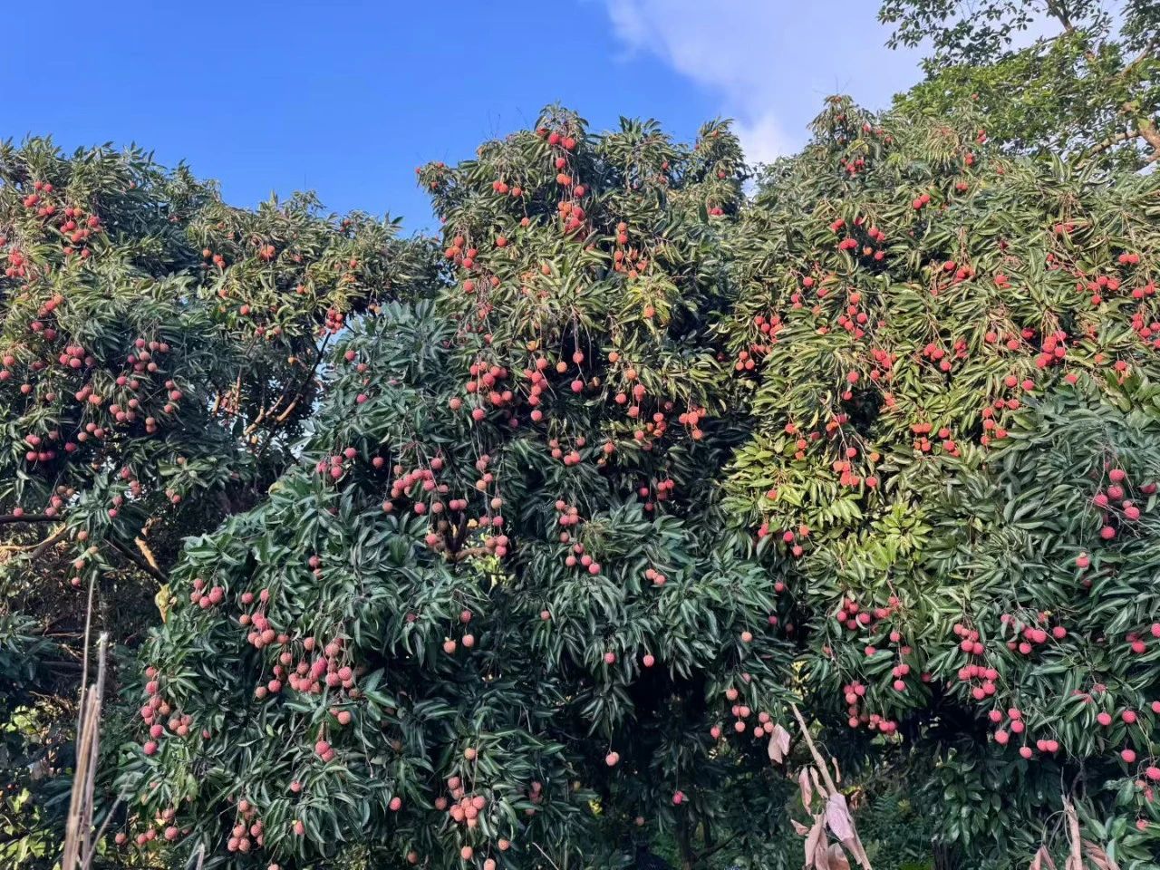 微信圖片_2025-07-23_104747_163